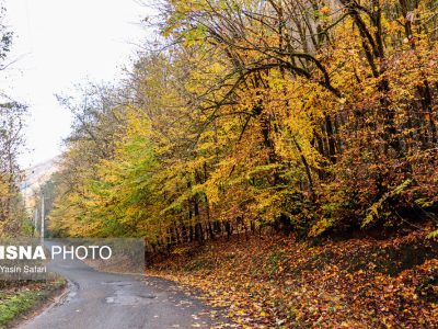 پاییز رنگارنگ در گیلان