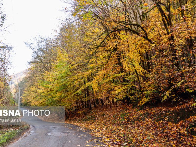 پاییز رنگارنگ در گیلان