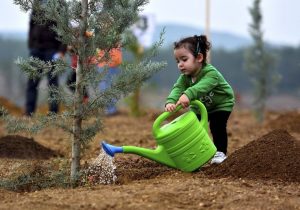 کاشت سه هزار نهال به نام پدر در گیلان