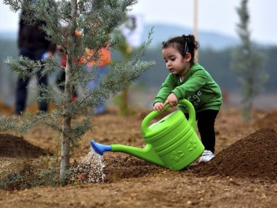 کاشت سه هزار نهال به نام پدر در گیلان