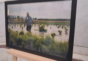 بهشهر؛ میزبان آثار هنرمندان هنرهای تجسمی