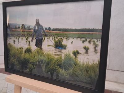 بهشهر؛ میزبان آثار هنرمندان هنرهای تجسمی