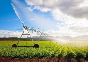 توسعه سامانه‌های نوین آبیاری / بِه زراعی و کشت از راهبرد‌های وزارت جهاد کشاورزی