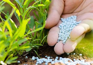 کشف کود شیمیایی بدون مجوز در میاندورود