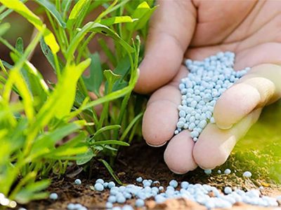 کشف کود شیمیایی بدون مجوز در میاندورود