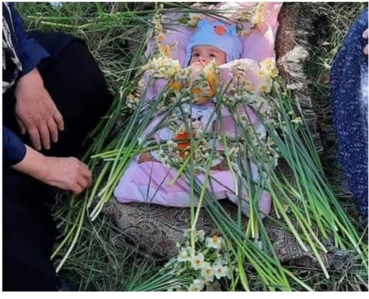 ثبت رویداد فرهنگی «گل غلتان نوزاد» در تقویم رویداد‌های گردشگری ایران