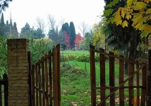 سالانه ۲۰۰ تا ۳۰۰ گونه جدید به باغ گیاه شناسی افزوده می شود