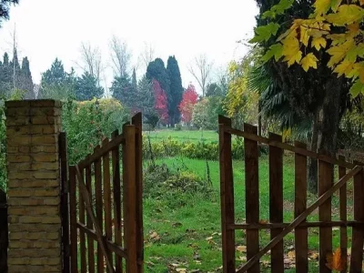 سالانه ۲۰۰ تا ۳۰۰ گونه جدید به باغ گیاه شناسی افزوده می شود