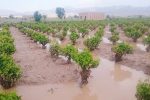 سیل آذرماه بیش از ۱۱ همت به بخش کشاورزی خسارت زد
