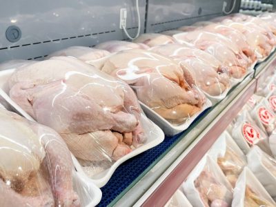 خرید حمایتی مرغ مازاد در مازندران برای حمایت از مرغداران