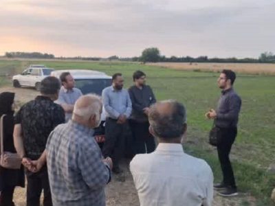 تأکید بر ترویج خشکهکاری برنج در شالیزارهای بهشهر