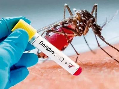 ثبت هزار ابتلا به تب دنگی در کشور/ بیشترین انتقال محلی در چابهار و کنارک