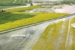 خسارت ۱۸ هزار میلیارد ریالی سیل به کشاورزی مازندران