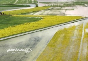 خسارت ۱۸ هزار میلیارد ریالی سیل به کشاورزی مازندران
