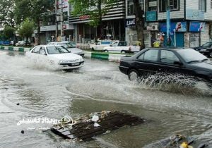 خسارت ۵۰ تا ۱۰۰ درصدی به گلخانههای جویبار بر اثر طوفان